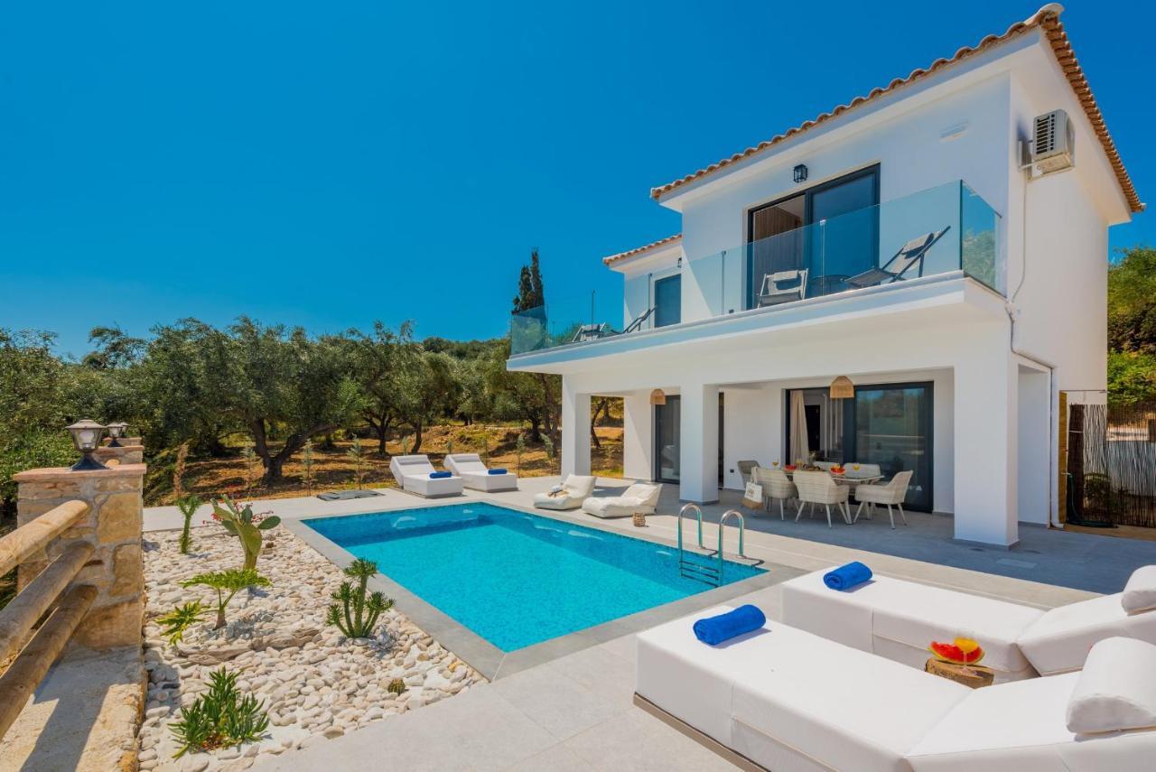 Queen Of Zakynthos Luxury Villas أمودي المظهر الخارجي الصورة